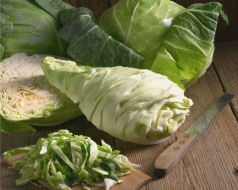 鲜卷心菜进出口