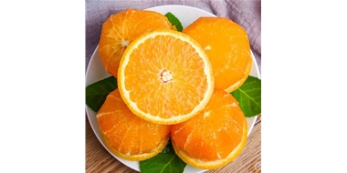 鲜橙进出口