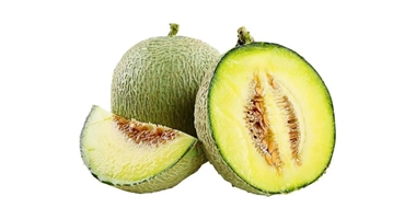 哈密瓜进出口