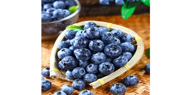 蓝莓进出口